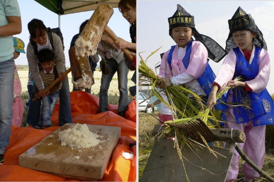 떡메치기와 벼 타작하기 체험 